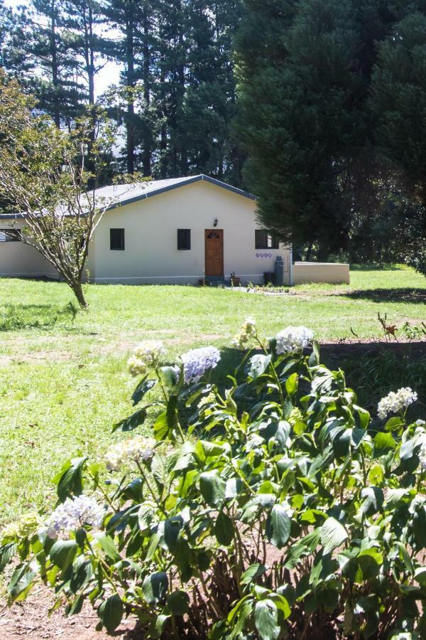 Kamberg Valley Hideaway Rev Estates Buitenkant foto